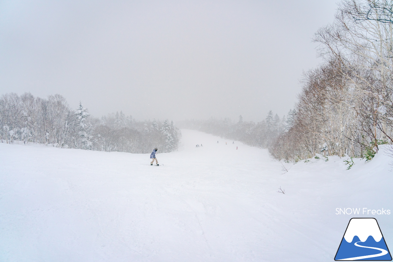 キロロリゾート｜ただいま北海道内最深の積雪160cm。午後のゲレンデで快適粉雪クルージング！